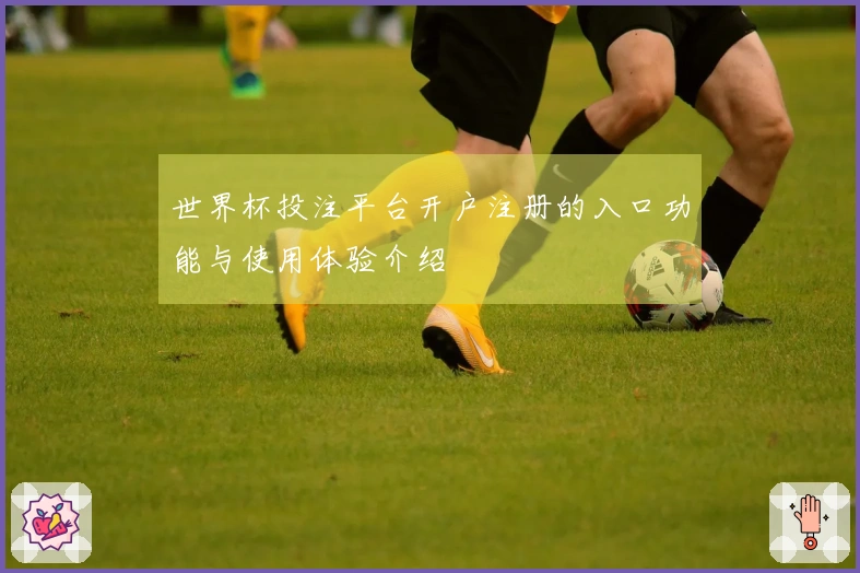 世界杯投注平台开户注册的入口功能与使用体验介绍