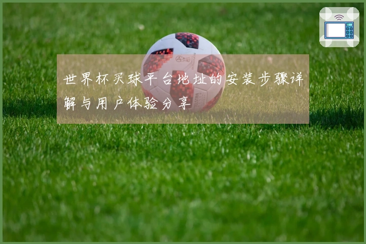 世界杯买球平台地址的安装步骤详解与用户体验分享