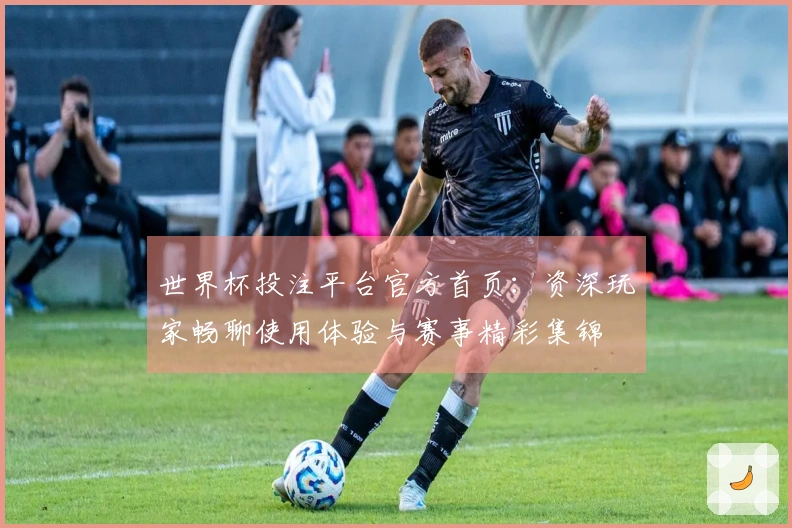 世界杯投注平台官方首页：资深玩家畅聊使用体验与赛事精彩集锦