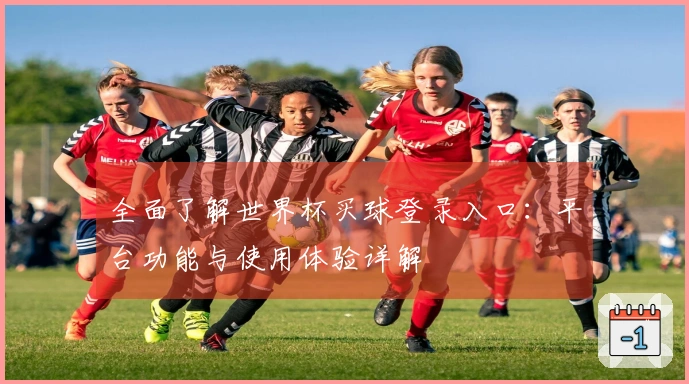 全面了解世界杯买球登录入口：平台功能与使用体验详解