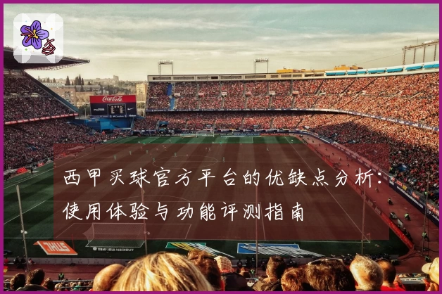 西甲买球官方平台的优缺点分析：使用体验与功能评测指南