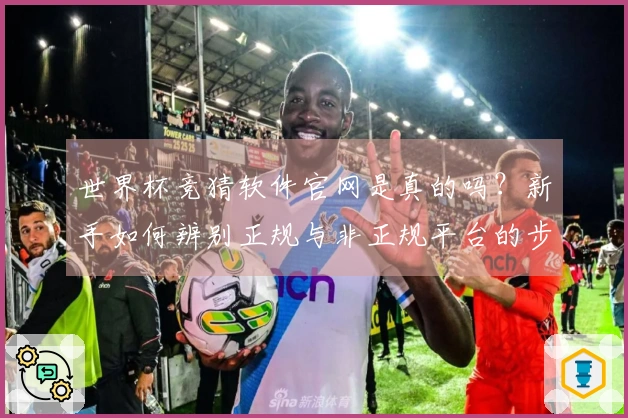 世界杯竞猜软件官网是真的吗？新手如何辨别正规与非正规平台的步骤与技巧