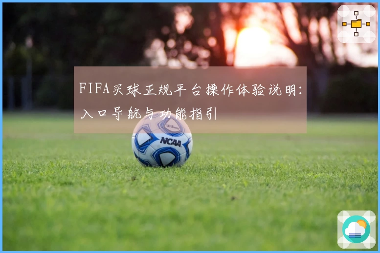 FIFA买球正规平台操作体验说明：入口导航与功能指引