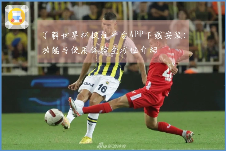 了解世界杯投注平台APP下载安装：功能与使用体验全方位介绍