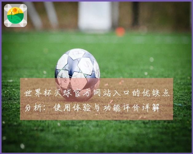 世界杯买球官方网站入口的优缺点分析：使用体验与功能评价详解