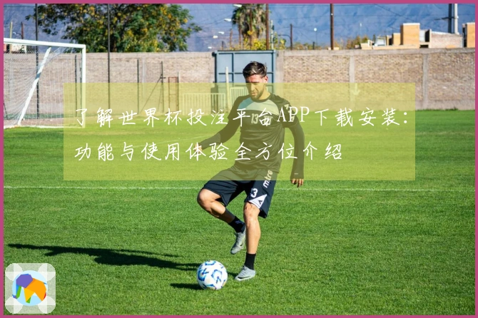 了解世界杯投注平台APP下载安装：功能与使用体验全方位介绍