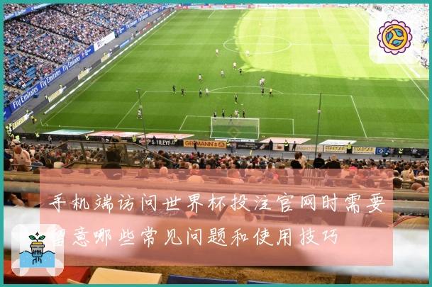 手机端访问世界杯投注官网时需要留意哪些常见问题和使用技巧