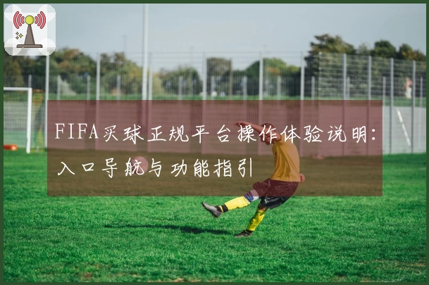 FIFA买球正规平台操作体验说明：入口导航与功能指引
