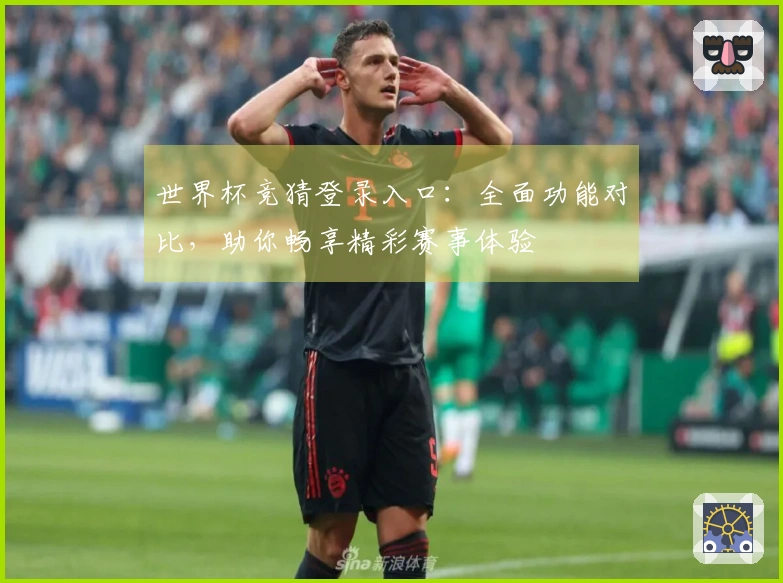 世界杯竞猜登录入口：全面功能对比，助你畅享精彩赛事体验