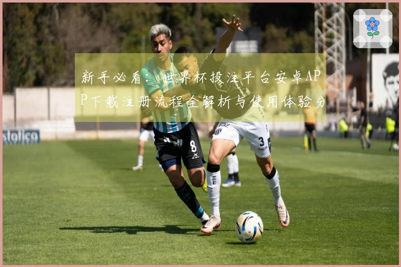 新手必看：世界杯投注平台安卓APP下载注册流程全解析与使用体验分享