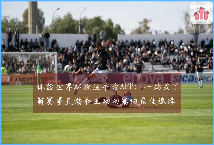 体验世界杯投注平台APP：一站式了解赛事直播和互动功能的最佳选择