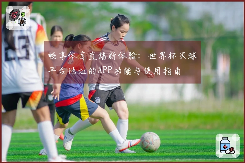 畅享体育直播新体验：世界杯买球平台地址的APP功能与使用指南