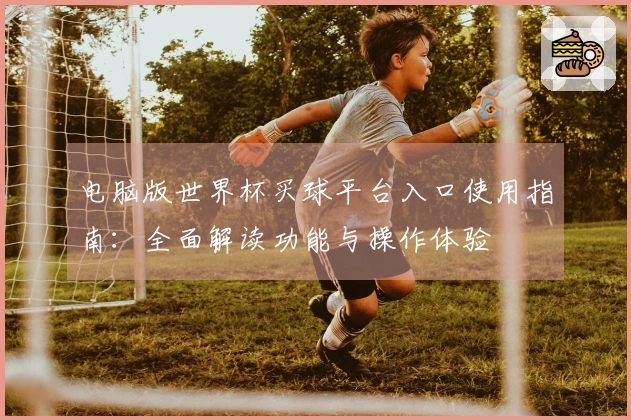 电脑版世界杯买球平台入口使用指南：全面解读功能与操作体验