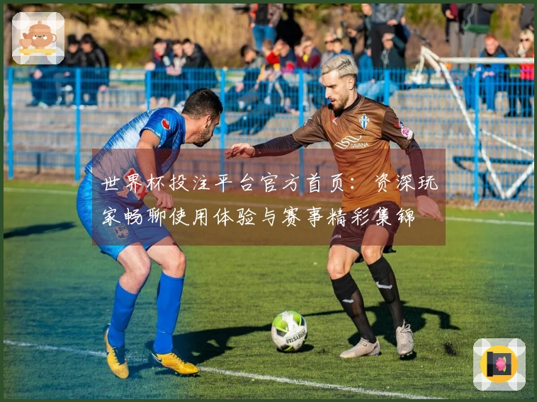 世界杯投注平台官方首页：资深玩家畅聊使用体验与赛事精彩集锦